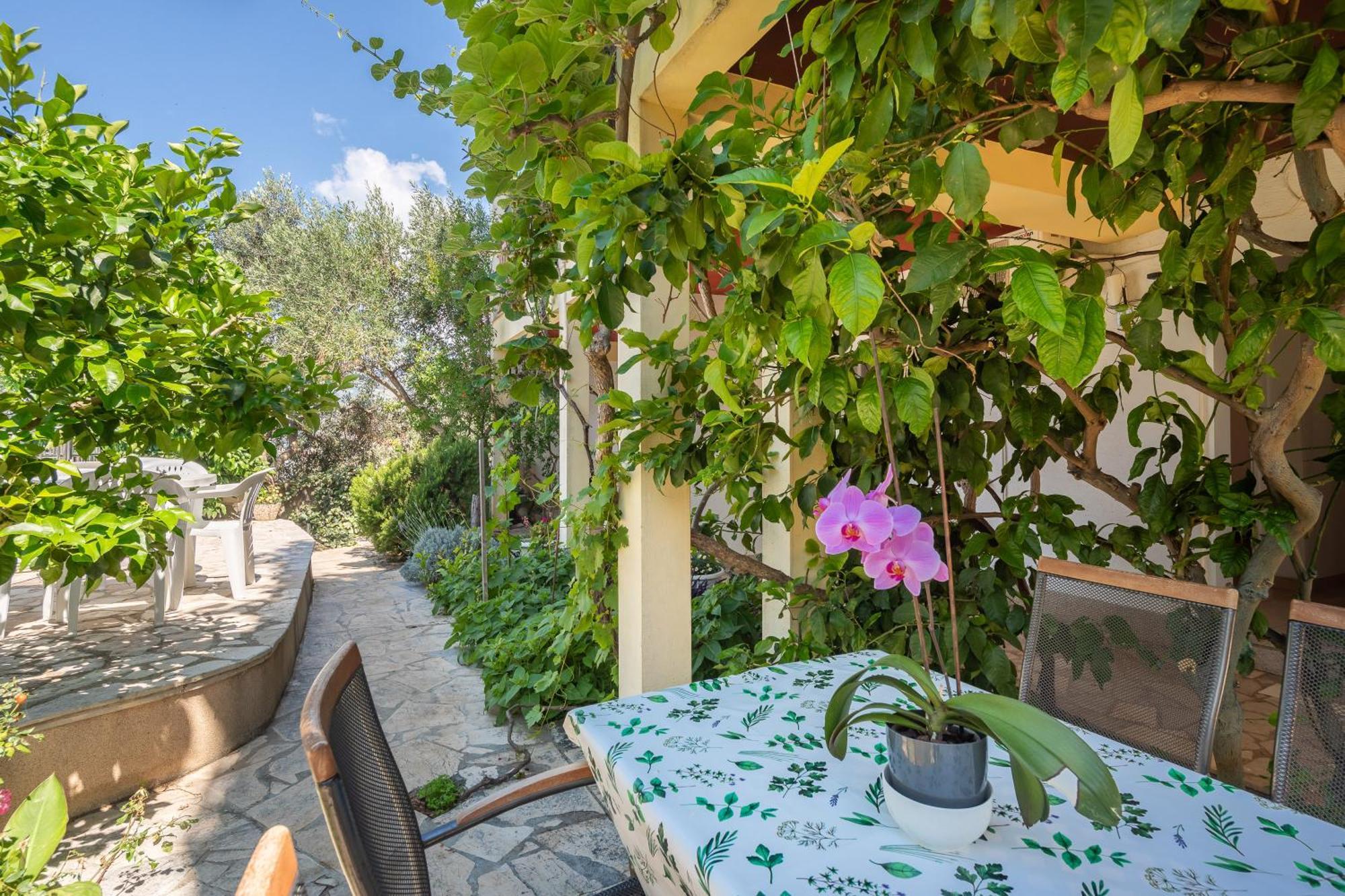 Apartments Roza Omis Exterior photo